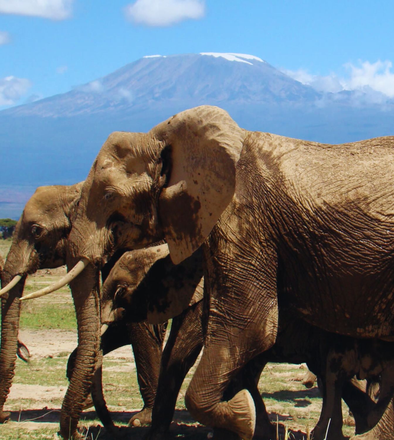 Amboseli National Park