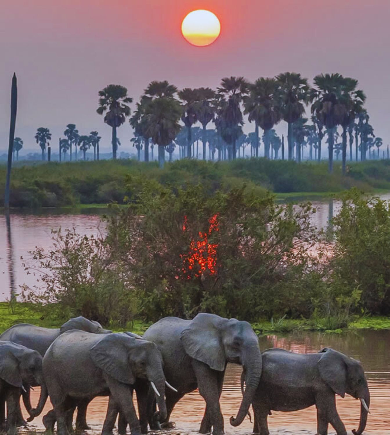 Serengeti National Park